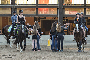 Reitschule-Philosophie-Team-300-200